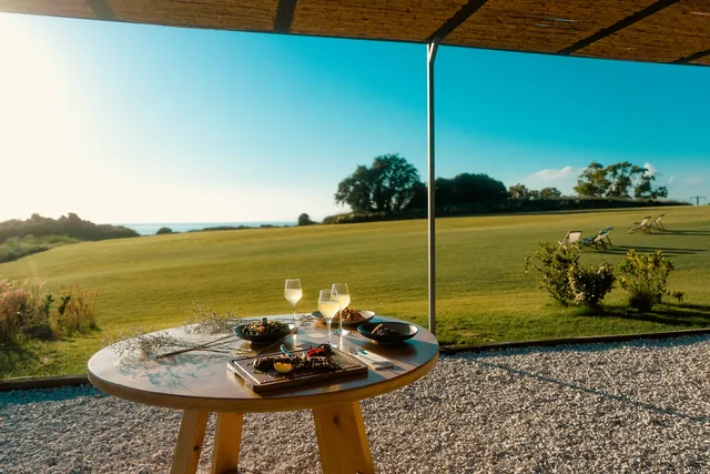Dining table set with wine overlooking the lawn and the Ionian Sea at Leventes
