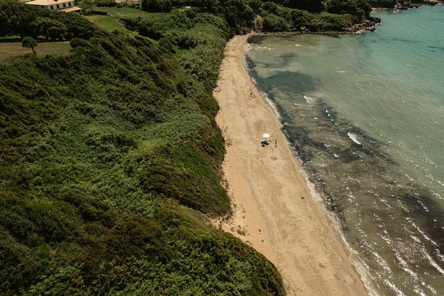 Aerial view of the sandy beach below the pine-covered cliff